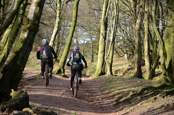 The Quantocks Bike Ride